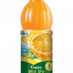 Orange Juice brik 20 cl (6 u)