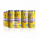 Orangina pack can 12u x 25cl